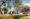 Boca Raton Museum of Art