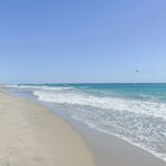Red Reef Park Boca Raton Might Be Florida’s Best Kept Secret
